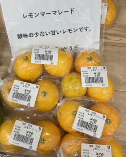 ・
おはようございます
今朝も採れたて新鮮野菜が出荷されました。
だいこん、かぶ、ピーマン、さつまいも、柿、渋柿、ねぎ、水菜、春菊、レモン、白菜、ジャガイモ、里芋などが出荷されました
ご来店をお待ちしております。
なお出荷量には限りがあり、売り切れる場合がございます。ご了承ください。
#農産物直売所#産直#野菜#なごやさい#農産物#野菜販売#地產地消#JA#農協#JA天白信用#天白信用農業協同組合
#さつまいも#だいこん#柿#渋柿#みかん#ブロッコリー#水菜#かぶ#小松菜#ゆず#レモン#チンゲンサイ