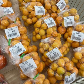 おはようございます
今朝も採れたて新鮮野菜が出荷されました。
だいこん、かぶ、さつまいも、里芋、白菜、春菊、水菜、ほうれん草、ねぎ、柿、渋柿、みかん、ゆず、レモンなどが出荷されました
ご来店をお待ちしております。
なお出荷量には限りがあり、売り切れる場合がございます。ご了承ください。
#農産物直売所#産直#野菜#なごやさい#農産物#野菜販売#地產地消#JA#農協#JA天白信用#天白信用農業協同組合
#さつまいも#だいこん#柿#渋柿#みかん#ブロッコリー#水菜#かぶ#小松菜#ゆず#レモン#チンゲンサイ