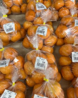 おはようございます☀️
今朝も採れたて新鮮野菜が出荷されました。
だいこん、かぶ、さつまいも、里芋、白菜、春菊、水菜、ほうれん草、ねぎ、柿、渋柿、みかん、ゆず、レモンなどが出荷されました
ご来店をお待ちしております。
なお出荷量には限りがあり、売り切れる場合がございます。ご了承ください。
#農産物直売所#産直#野菜#なごやさい#農産物#野菜販売#地產地消#JA#農協#JA天白信用#天白信用農業協同組合
#さつまいも#だいこん#柿#渋柿#みかん#ブロッコリー#水菜#かぶ#小松菜#ゆず#レモン#チンゲンサイ