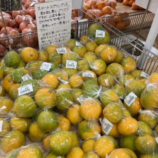 おはようございます
今朝も採れたて新鮮野菜が出荷されました。
だいこん、かぶ、さつまいも、里芋、白菜、春菊、水菜、ほうれん草、ねぎ、柿、渋柿、みかん、ゆず、レモンなどが出荷されました
ご来店をお待ちしております。
なお出荷量には限りがあり、売り切れる場合がございます。ご了承ください。
#農産物直売所#産直#野菜#なごやさい#農産物野菜販売地產地消JA農協JA天白信用天白信用農業協同組合
さつまいもだいこん柿渋柿みかんブロッコリー水菜かぶ小松菜ゆずレモンチンゲンサイ
