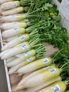 .
おはようございます🥕

今朝も採れたて新鮮野菜が出荷されました🍊

だいこん、かぶ、さつまいも、里芋、白菜、春菊、水菜、ほうれん草、ねぎ、ネーブル、晩白柚、ブロッコリー、人参、黄人参、金時人参、みかん、ゆず、レモンなどが出荷されました🥬

ご来店をお待ちしております🙇‍♀️

なお出荷量には限りがあり、売り切れる場合がございます。ご了承ください。
#農産物直売所#産直#野菜#なごやさい#農産物野菜販売地產地消JA農協JA天白信用天白信用農業協同組合
さつまいもだいこんみかんブロッコリー水菜かぶ小松菜ゆずレモンチンゲンサイ
