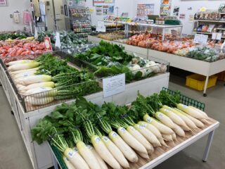 おはようございます☀️

今朝も採れたて新鮮野菜が出荷されました🥕🥦🥬
だいこん、にんじん、かぶ、ブロッコリー、白菜、ほうれん草、こまつな、キャベツ、ねぎ、みかん、不知火、ぶんたん、ゆずなどが出荷されました✨

ご来店をお待ちしております🙇‍♀️

なお出荷量には限りがあり、売り切れる場合がございます。ご了承ください。
#農産物直売所#産直#野菜#なごやさい#農産物野菜販売地產地消JA農協JA天白信用天白信用農業協同組合
だいこん、八事五寸にんじん、みかん、不知火(デコポン)、ブロッコリー、白菜、かぶ、小松菜、ほうれん草、ゆず