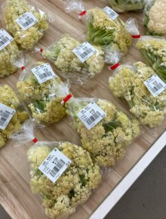 おはようございます🥕

今朝も採れたて新鮮野菜が出荷されました🍊
さつまいも、里芋、白菜、ほうれん草、ブロッコリー、カリフローレ、小松菜、にんじん、キャベツ、みかん、ゆず、レモン、はっさく、甘菜、晩白柚、ネーブルなどが出荷されました🥦

ご来店をお待ちしております🙇‍♀️

なお出荷量には限りがあり、売り切れる場合がございます。ご了承ください。
#農産物直売所#産直#野菜#なごやさい#農産物野菜販売地產地消JA農協JA天白信用天白信用農業協同組合
さつまいもだいこんみかんブロッコリー水菜かぶ小松菜ゆずレモンチンゲンサイ