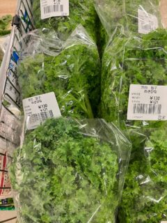 .
おはようございます🥕

今朝も採れたて新鮮野菜が出荷されました🍊

だいこん、かぶ、さつまいも、里芋、白菜、春菊、ほうれん草、ねぎ、ブロッコリー、伊予柑、グレープフルーツ、甘夏、分担、八朔、不知火、清美、みかん、ゆず、レモンなどが出荷されました🥦

ご来店をお待ちしております🙇‍♀️

なお出荷量には限りがあり、売り切れる場合がございます。ご了承ください。
#農産物直売所#産直#野菜#なごやさい#農産物野菜販売地產地消JA農協JA天白信用天白信用農業協同組合
さつまいもだいこんみかんブロッコリー水菜かぶ小松菜ゆずレモンチンゲンサイ