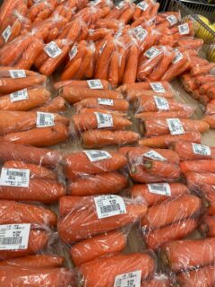 .
おはようございます🥕

今朝も採れたて新鮮野菜が出荷されました🍊

だいこん、かぶ、さつまいも、里芋、人参、きくいも、白菜、ほうれん草、ねぎ、ブロッコリー、みかん、ゆず、レモン、文旦、伊予柑、不知火、はっさく、甘夏などが出荷されました🥦

ご来店をお待ちしております🙇‍♀️

なお出荷量には限りがあり、売り切れる場合がございます。ご了承ください。
#農産物直売所#産直#野菜#なごやさい#農産物野菜販売地產地消JA農協JA天白信用天白信用農業協同組合
さつまいもだいこんみかんブロッコリー水菜かぶ小松菜ゆずレモンチンゲンサイ