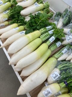 ・
おはようございます🥕

今朝も採れたて新鮮野菜が出荷されました🍊
だいこん、かぶ、さつまいも、白菜、春菊、水菜、ほうれん草、ねぎ、ブロッコリー、みかん、ゆず、レモンなどが出荷されました🥦

ご来店をお待ちしております🙇‍♀️

なお出荷量には限りがあり、売り切れる場合がございます。ご了承ください。
#農産物直売所#産直#野菜#なごやさい#農産物野菜販売地產地消JA農協JA天白信用天白信用農業協同組合
さつまいもだいこんみかんブロッコリー水菜かぶ小松菜ゆずレモンチンゲンサイ
