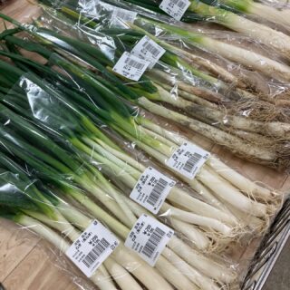 ・
おはようございます🥕

今朝も採れたて新鮮野菜が出荷されました🍊
だいこん、さつまいも、里芋、白菜、ほうれん草、ねぎ、みかん、ゆず、レモンなどが出荷されました🍠

ご来店をお待ちしております🙇‍♀️

なお出荷量には限りがあり、売り切れる場合がございます。ご了承ください。
#農産物直売所#産直#野菜#なごやさい#農産物野菜販売地產地消JA農協JA天白信用天白信用農業協同組合
さつまいもだいこんみかんブロッコリー水菜かぶ小松菜ゆずレモンチンゲンサイ