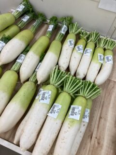 おはようございます🥕

今朝も採れたて新鮮野菜が出荷されました🍊

だいこん、さつまいも、白菜、春菊、水菜、ほうれん草、ねぎ、ブロッコリー、ルッコラ、パクチー、パセリ、リーフレタス、八朔、伊予柑、ネーブル、文旦、清美、はるか、セミノール、グレープフルーツ、みかん、ゆず、レモンなどが出荷されました🥦

ご来店をお待ちしております🙇‍♀️

なお出荷量には限りがあり、売り切れる場合がございます。ご了承ください。
#農産物直売所#産直#野菜#なごやさい#農産物野菜販売地產地消JA農協JA天白信用天白信用農業協同組合
さつまいもだいこんみかんブロッコリー水菜かぶ小松菜ゆずレモンチンゲンサイ