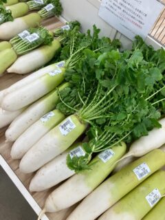 おはようございます🥕

今朝も採れたて新鮮野菜が出荷されました🍊

だいこん、さつまいも、白菜、春菊、水菜、ナバナ、ルッコラ、パクチー、ローズマリー、キャベツ、人参、わけぎ、菊芋、キンカン、ねぎ、ブロッコリー、みかん、ゆず、レモンなどが出荷されました🥦

ご来店をお待ちしております🙇‍♀️

なお出荷量には限りがあり、売り切れる場合がございます。ご了承ください。
#農産物直売所#産直#野菜#なごやさい#農産物野菜販売地產地消JA農協JA天白信用天白信用農業協同組合
さつまいもだいこんみかんブロッコリー水菜かぶ小松菜ゆずレモンチンゲンサイ