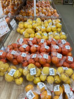 .
おはようございます🥕

今朝も採れたて新鮮野菜が出荷されました🍊
だいこん、キャベツ、白菜、春菊、水菜、ほうれん草、ねぎ、ブロッコリー、トマト、しいたけ、水菜、菜花、わさび菜、ケール、みかん、ゆず、レモン、八朔、甘夏、文旦、みかんなどが出荷されました🥦

ご来店をお待ちしております🙇‍♀️

なお出荷量には限りがあり、売り切れる場合がございます。ご了承ください。
#農産物直売所#産直#野菜#なごやさい#農産物野菜販売地產地消JA農協JA天白信用天白信用農業協同組合
だいこんみかんブロッコリー水菜小松菜ゆずレモン