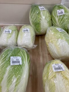 .
おはようございます🥕

今朝も採れたて新鮮野菜が出荷されました🍊

だいこん、白菜、春菊、ほうれん草、ねぎ、ブロッコリー、わけぎ、芽キャベツ、ゆず、レモン、八朔、文旦などが出荷されました🥦

ご来店をお待ちしております🙇‍♀️

なお出荷量には限りがあり、売り切れる場合がございます。ご了承ください。
#農産物直売所#産直#野菜#なごやさい#農産物野菜販売地產地消JA農協JA天白信用天白信用農業協同組合
だいこんブロッコリーレモン