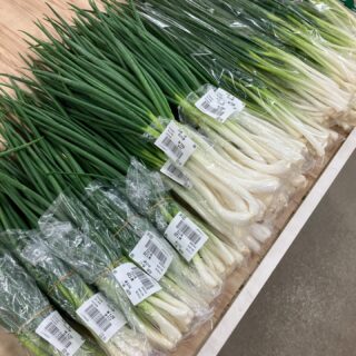 ・今朝も採れたて新鮮野菜が出荷されました🍊
わけぎ、春菊、ほうれん草、ねぎ、ブロッコリー、キャベツ、小松菜、みかん、レモン、文旦、八朔、伊予柑、甘夏、セミノール、グレープフルーツなどが出荷されました🥦

ご来店をお待ちしております🙇‍♀️

なお出荷量には限りがあり、売り切れる場合がございます。ご了承ください。
#農産物直売所#産直#野菜#なごやさい#農産物野菜販売地產地消JA農協JA天白信用天白信用農業協同組合
だいこんブロッコリー水菜小松菜レモン文旦はっさく甘夏伊予柑キャベツほうれん草