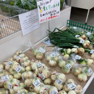 今朝も採れたて新鮮野菜が出荷されました🍊
春菊、ほうれん草、ねぎ、ブロッコリー、キャベツ、小松菜、みかん、レモン、文旦、八朔、伊予柑、甘夏、グレープフルーツなどが出荷されました🥦

ご来店をお待ちしております🙇‍♀️

なお出荷量には限りがあり、売り切れる場合がございます。ご了承ください。
#農産物直売所#産直#野菜#なごやさい#農産物野菜販売地產地消JA農協JA天白信用天白信用農業協同組合
だいこんブロッコリー水菜小松菜レモン文旦はっさく甘夏伊予柑キャベツほうれん草