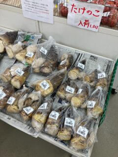 .
おはようございます🥕

今朝も採れたて新鮮野菜が出荷されました🍊

たけのこ、わけき、ねぎ、ブロッコリー、キャベツ、小松菜、トマト、にんにく、新玉ねぎ、レモン、文旦、八朔、伊予柑、甘夏、セミノール、ゴールデンオレンジなどが出荷されました🥦

ご来店をお待ちしております🙇‍♀️

なお出荷量には限りがあり、売り切れる場合がございます。ご了承ください。
#農産物直売所#産直#野菜#なごやさい#農産物野菜販売地產地消JA農協JA天白信用天白信用農業協同組合
だいこんブロッコリー水菜小松菜レモン文旦はっさく甘夏伊予柑キャベツほうれん草