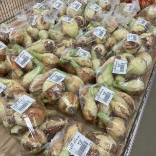 おはようございます🥕

今朝も採れたて新鮮野菜が出荷されました🍊
たけのこ、ニンニク、新玉ねぎ、トマト、ねぎ、ブロッコリー、キャベツ、レモン、文旦、八朔、甘夏、セミノール、などが出荷されました🥦

ご来店をお待ちしております🙇‍♀️

なお出荷量には限りがあり、売り切れる場合がございます。ご了承ください。
#農産物直売所#産直#野菜#なごやさい#農産物野菜販売地產地消JA農協JA天白信用天白信用農業協同組合
だいこんブロッコリー水菜小松菜レモン文旦はっさく甘夏伊予柑キャベツほうれん草