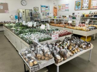 おはようございます☀️

今朝も採れたて新鮮野菜が出荷されました！！

タケノコ、新たまねぎ、ねぎ、わけぎ、ブロッコリー、キャベツ、リーフレタス、スナップエンドウ、小松菜、レモン、ゴールデンオレンジ、文旦、はっさく、甘夏(なつみかん)、セミノールなどが出荷されました🧅

特に季節のタケノコや新たまねぎは、今たくさん出ています♪

皆様のたくさんのご来店をお待ちしております🙇‍♀️

なお出荷量には限りがあり、売り切れる場合がございます。ご了承ください。
#農産物直売所#産直#野菜#なごやさい#農産物野菜販売地產地消JA農協JA天白信用天白信用農業協同組合
たけのこ新たまねぎキャベツリーフレタスねぎ文旦はっさく甘夏小松菜ブロッコリー