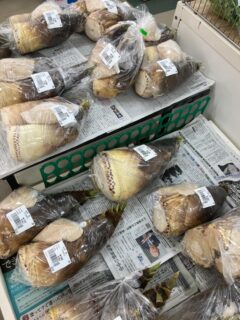おはようございます🧅

今朝も採れたて新鮮野菜が出荷されました🥬

玉ねぎ、タケノコ、ねぎ、スナップエンドウ、絹さやえんどう、実えんどう、キャベツ、にんにく、レモン、八朔、甘夏、セミノール、ゴールデンオレンジなどが出荷されました🥦

ご来店をお待ちしております🙇‍♀️

なお出荷量には限りがあり、売り切れる場合がございます。ご了承ください。
#農産物直売所#産直#野菜#なごやさい#農産物野菜販売地產地消JA農協JA天白信用天白信用農業協同組合
ブロッコリー小松菜レモン文旦はっさく甘夏キャベツほうれん草