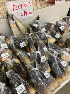 おはようございます🧅

今朝も採れたて新鮮野菜が出荷されました🥬

玉ねぎ、タケノコ、ねぎ、キャベツ、小松菜、ニンニク、ダイコン、レモン、ゴールデンオレンジ、八朔、甘夏、セミノールなどが出荷されました🥦

ご来店をお待ちしております🙇‍♀️

なお出荷量には限りがあり、売り切れる場合がございます。ご了承ください。
#農産物直売所#産直#野菜#なごやさい#農産物野菜販売地產地消JA農協JA天白信用天白信用農業協同組合
ブロッコリー小松菜レモン文旦はっさく甘夏キャベツほうれ