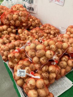 おはようございます🧅

今朝も採れたて新鮮野菜が出荷されました🥬

玉ねぎ、タケノコ、ねぎ、キャベツ、にんにく、スナップエンドウ、絹さやえんどう、レモン、八朔、甘夏、セミノールなどが出荷されました🧄

ご来店をお待ちしております🙇‍♀️

なお出荷量には限りがあり、売り切れる場合がございます。ご了承ください。
#農産物直売所#産直#野菜#なごやさい#農産物野菜販売地產地消JA農協JA天白信用天白信用農業協同組合
新玉ねぎスナップエンドウさやえんどう実えんどうにんにく