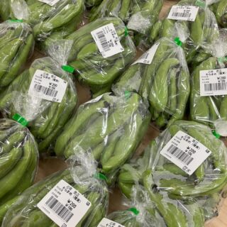 ・
おはようございます🧅

今朝も採れたて新鮮野菜が出荷されました🥬

玉ねぎ、ねぎ、にんにく、スナップエンドウ、絹さやえんどう、グリーンピース、そら豆、レモン、八朔、甘夏、セミノールなどが出荷されました🧄

ご来店をお待ちしております🙇‍♀️

なお出荷量には限りがあり、売り切れる場合がございます。ご了承ください。
#農産物直売所#産直#野菜#なごやさい#農産物野菜販売地產地消JA農協JA天白信用天白信用農業協同組合
新玉ねぎスナップエンドウさやえんどう実えんどうにんにく