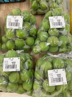 おはようございます🧅

今朝も採れたて新鮮野菜が出荷されました🥬

玉ねぎ、ねぎ、にんにく、スナップエンドウ、グリーンピース、そら豆、レモン、八朔、甘夏、ズッキーニ、梅などが出荷されました🧄

ご来店をお待ちしております🙇‍♀️

なお出荷量には限りがあり、売り切れる場合がございます。ご了承ください。
#農産物直売所#産直#野菜#なごやさい#農産物野菜販売地產地消JA農協JA天白信用天白信用農業協同組合
新玉ねぎスナップエンドウさやえんどう実えんどうにんにく