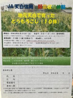.
🌽収穫体験のご案内🌽

いつもご来店、誠にありがとうございます🙇‍♀️

今年も、とうもろこしの収穫体験を行います❗️
グリーンセンターにもチラシを置いていますので、ご来店時にお持ち帰りください。受付は随時行なっております。
皆様の参加をお待ちしております🙇‍♀️😊