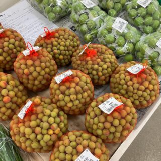 ・
おはようございます🧅

今朝も採れたて新鮮野菜が出荷されました🥬

梅、ズッキーニ、わさび菜、コールラビ、ほうれん草、茎ブロッコリー、水菜、玉ねぎ、ねぎ、にんにく、スナップエンドウ、グリーンピース、そら豆、レモン、八朔、甘夏などが出荷されました🧄

ご来店をお待ちしております🙇‍♀️

なお出荷量には限りがあり、売り切れる場合がございます。ご了承ください。
#農産物直売所#産直#野菜#なごやさい#農産物野菜販売地產地消JA農協JA天白信用天白信用農業協同組合
新玉ねぎスナップエンドウさやえんどう実えんどうにんにく
