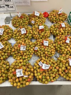 おはようございます🧅

今朝も採れたて新鮮野菜が出荷されました🥬

梅、玉ねぎ、にんにく、大根、わさび菜、ズッキーニ、そら豆、八朔、甘夏、マイヤーレモンなどが出荷されました🧄

ご来店をお待ちしております🙇‍♀️

なお出荷量には限りがあり、売り切れる場合がございます。ご了承ください。
#農産物直売所#産直#野菜#なごやさい#農産物野菜販売地產地消JA農協JA天白信用天白信用農業協同組合
新玉ねぎにんにく
