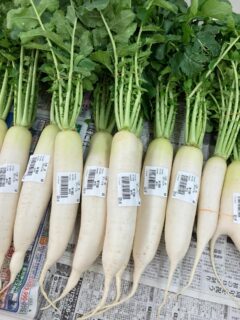 .
おはようございます🧅

今朝も採れたて新鮮野菜が出荷されました🥬

梅、玉ねぎ、にんにく、大根、ズッキーニ、きゅうり、青シソ、赤玉ねぎ、そら豆、八朔、甘夏、びわ、ボイセンベリー、マイヤーレモンなどが出荷されました🧄

ご来店をお待ちしております🙇‍♀️

なお出荷量には限りがあり、売り切れる場合がございます。ご了承ください。
#産直#なごやさい#JA天白信用