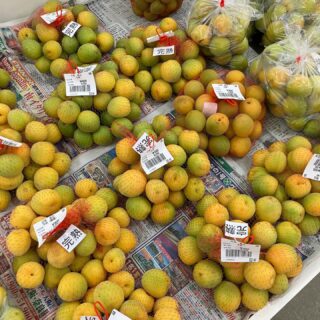 ・
おはようございます🧅

今朝も採れたて新鮮野菜が出荷されました🥬

梅、玉ねぎ、じゃがいも、ブロッコリー、にんにく、びわ、ラズベリー、ボイセンベリー、甘夏、マイヤーレモンなどが出荷されました🧄

ご来店をお待ちしております🙇‍♀️

なお出荷量には限りがあり、売り切れる場合がございます。ご了承ください。
#産直#なごやさい#JA天白信用