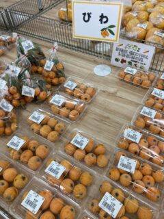 .
おはようございます🧅

今朝も採れたて新鮮野菜が出荷されました🥬

梅、玉ねぎ、ねぎ、にんにく、ズッキーニ、じゃがいも、いんげん、らっきょ、青シソ、八朔、甘夏、マイヤーレモン、ビワ、ボイセンベリーなどが出荷されました🧄

ご来店をお待ちしております🙇‍♀️

なお出荷量には限りがあり、売り切れる場合がございます。ご了承ください。
#産直#なごやさい#JA天白信用