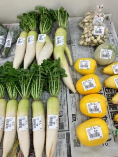 .
おはようございます🧅

今朝も採れたて新鮮野菜が出荷されました🥬

だいこん、玉ねぎ、ねぎ、にんにく、なす、ピーマン、トマト、きゅうり、いんげん、大葉、ケール、にんじん、キャベツ、レモン、八朔、甘夏、マイヤーレモン、とうもろこし、桃、すももなどが出荷されました🧄

ご来店をお待ちしております🙇‍♀️

なお出荷量には限りがあり、売り切れる場合がございます。ご了承ください。
#産直#なごやさい#JA天白信用