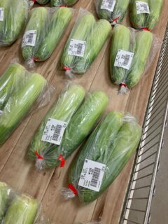 おはようございます🧅

今朝も採れたて新鮮野菜が出荷されました🥬

だいこん、玉ねぎ、ねぎ、にんにく、なす、ピーマン、トマト、きゅうり、いんげん、大葉、ケール、にんじん、キャベツ、甘夏、マイヤーレモン、すもも、とうもろこし、つるむらさき、ケール、バジルなどが出荷されました🧄

ご来店をお待ちしております🙇‍♀️

なお出荷量には限りがあり、売り切れる場合がございます。ご了承ください。
#産直#なごやさい#JA天白信用