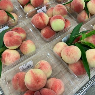 おはようございます🧅

今朝も採れたて新鮮野菜が出荷されました🥬

もも、スイカ、黄うり、玉ねぎ、ねぎ、にんにく、なす、ピーマン、トマト、きゅうり、いんげん、大葉、マイヤーレモンなどが出荷されました🧄

ご来店をお待ちしております🙇‍♀️

なお出荷量には限りがあり、売り切れる場合がございます。ご了承ください。
#産直#なごやさい#JA天白信用