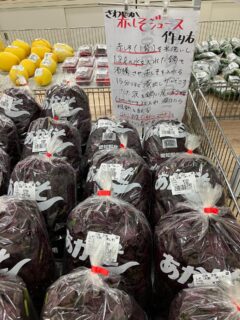 おはようございます🧅

今朝も採れたて新鮮野菜が出荷されました🥬

だいこん、玉ねぎ、ねぎ、にんにく、なす、ピーマン、トマト、きゅうり、いんげん、大葉、ケール、にんじん、マイヤーレモン、すもも、きなうり、とうもろこし、赤紫蘇、かりもり、じゃがいも、ズッキーニ、ツルムラサキ、エンサイなどが出荷されました🧄

ご来店をお待ちしております🙇‍♀️

なお出荷量には限りがあり、売り切れる場合がございます。ご了承ください。
#産直#なごやさい#JA天白信用