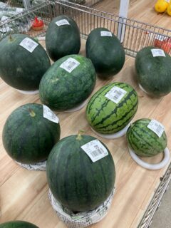 おはようございます🧅

今朝も採れたて新鮮野菜が出荷されました🥬

玉ねぎ、ねぎ、にんにく、なす、ピーマン、トマト、きゅうり、いんげん、大葉、まくわうり、などが出荷されました🧄

ご来店をお待ちしております🙇‍♀️

なお出荷量には限りがあり、売り切れる場合がございます。ご了承ください。
#産直#なごやさい#JA天白信用