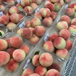 今朝も採れたて新鮮野菜が出荷されました🥬

もも、スイカ、黄うり、すもも、だいこん、玉ねぎ、ねぎ、にんにく、なす、ピーマン、ミニトマト、きゅうり、いんげん、大葉、にんじん、大葉、甘長とうがらし、ししとう、じゃがいも、マイヤーレモン、などが出荷されました🧄

ご来店をお待ちしております🙇‍♀️

なお出荷量には限りがあり、売り切れる場合がございます。ご了承ください。
#産直#なごやさい#JA天白信用
