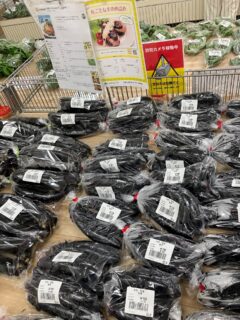 おはようございます☀️

今朝も採れたて新鮮野菜が出荷されました☺️🍆🥒

なす、きゅうり、スイカ、トマト、ミニトマト、かぼちゃ、ささげ、ピーマン、甘長とうがらし、つるむらさき、じゃがいもなどが出荷されました✨

ご来店をお待ちしております🙇‍♀️

なお出荷量には限りがあり、売り切れる場合がございます。ご了承ください。
#産直#なごやさい#JA天白信用#ナス #きゅうり
