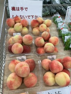 おはようございます☀️

今朝も採れたて新鮮野菜が出荷されました☺️🍆🥒

なす、きゅうり、スイカ、ミニトマト、かぼちゃ、ささげ、ピーマン、甘長とうがらし、つるむらさき、じゃがいも黄うり、きんかん、だいこん、生花などが出荷されました✨

ご来店をお待ちしております🙇‍♀️

なお出荷量には限りがあり、売り切れる場合がございます。ご了承ください。
#産直#なごやさい#JA天白信用#ナス #きゅうり