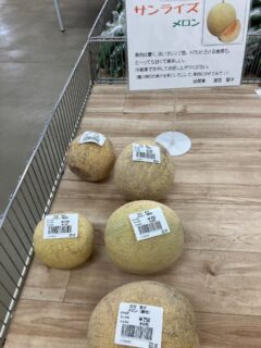 .
おはようございます☀️

今朝も採れたて新鮮野菜が出荷されました☺️🍆🥒

なす、きゅうり、スイカ、トマト、ミニトマト、かぼちゃ、ささげ、ピーマン、甘長とうがらし、つるむらさき、じゃがいも、玉ねぎ、ネギ、ゴーヤ、青シソ、オクラ、いんげん、モロヘイヤ、メロン、まくわうり、にんにくなどが出荷されました✨

ご来店をお待ちしております🙇‍♀️

なお出荷量には限りがあり、売り切れる場合がございます。ご了承ください。
#産直#なごやさい#JA天白信用#ナス #きゅうり