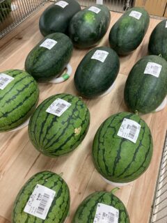 .
おはようございます☀️

今朝も採れたて新鮮野菜が出荷されました☺️🍆🥒

なす、きゅうり、スイカ、トマト、ミニトマト、かぼちゃ、ささげ、ピーマン、甘長とうがらし、つるむらさき、じゃがいも、玉ねぎ、メロン、オクラ、きなうり、冬瓜、モロヘイヤなどが出荷されました✨

ご来店をお待ちしております🙇‍♀️

なお出荷量には限りがあり、売り切れる場合がございます。ご了承ください。
#産直#なごやさい#JA天白信用
