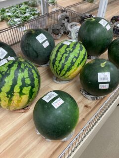 おはようございます☀️

今朝も採れたて新鮮野菜が出荷されました☺️🍆🥒

なす、きゅうり、スイカ、トマト、ミニトマト、かぼちゃ、ささげ、ピーマン、甘長とうがらし、つるむらさき、じゃがいもなどが出荷されました✨

ご来店をお待ちしております🙇‍♀️

なお出荷量には限りがあり、売り切れる場合がございます。ご了承ください。
#産直#なごやさい#JA天白信用#ナス #きゅうり