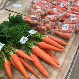 おはようございます

天白区の伝統野菜、八事五寸にんじんがたくさん入荷しております🥕🥕掘り立てなので綺麗なオレンジ色です！香りが良く、生で食べてもおいしいです🥕

他にも採れたて新鮮野菜がたくさん出荷されました。
だいこん、かぶ、里芋、白菜、春菊、水菜、ほうれん草、ねぎ、みかん、レモンなどが出荷されました
ご来店をお待ちしております。
なお出荷量には限りがあり、売り切れる場合がございます。ご了承ください。
#農産物直売所#産直#野菜#なごやさい#農産物野菜販売地產地消JA農協JA天白信用天白信用農業協同組合
さつまいもだいこんみかんブロッコリー水菜かぶ小松菜ゆずレモンチンゲンサイ