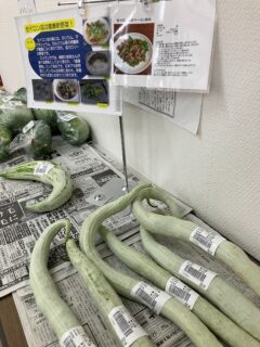 おはようございます☀️

今朝も採れたて新鮮野菜が出荷されました☺️🍆🥒

セイロン瓜、かぼちゃ、なす、きゅうり、ピーマン、ささげ、ねぎ、モロヘイヤ、つるむらさき、甘長とうがらし、オクラ、青しそ、じゃがいも、いちじく、ぶどう、スイカ、にんにく、かぼすなどが出荷されました✨

ご来店をお待ちしております🙇‍♀️

なお出荷量には限りがあり、売り切れる場合がございます。ご了承ください。
#産直#なごやさい#JA天白信用#ナス #きゅうり