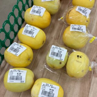 おはようございます☀️

今朝も採れたて新鮮野菜が出荷されました☺️🍆🥒

なす、きゅうり、かぼちゃ、ささげ、ピーマン、甘長とうがらし、つるむらさき、じゃがいも、イチジク、まくわうり、などが出荷されました✨

ご来店をお待ちしております🙇‍♀️

なお出荷量には限りがあり、売り切れる場合がございます。ご了承ください。
#産直#なごやさい#JA天白信用#ナス #きゅうり