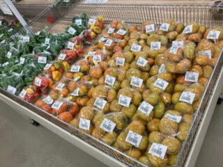 おはようございます☀️

今朝も採れたて新鮮野菜が出荷されました☺️🍆🌰

柿、ピーマン、甘長とうがらし、つるむらさき、ゴーヤ、オクラ、栗、ささげ、なす、かぼちゃ、とうがん、すだち、イチジクなどが出荷されました✨

ご来店をお待ちしております🙇‍♀️

なお出荷量には限りがあり、売り切れる場合がございます。ご了承ください。
#産直#なごやさい#JA天白信用#柿#いちじく