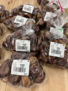おはようございます☀️

今朝も採れたて新鮮野菜が出荷されました☺️🍆🥒

なす、きゅうり、かぼちゃ、ささげ、ピーマン、甘長とうがらし、つるむらさき、ゴーヤ、じゃがいも、くり、みかん、かきなどが出荷されました✨

ご来店をお待ちしております🙇‍♀️

なお出荷量には限りがあり、売り切れる場合がございます。ご了承ください。
#産直#なごやさい#JA天白信用