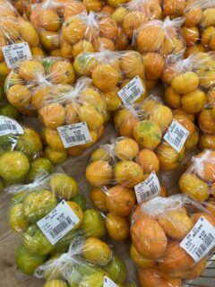 おはようございます☀️

今朝も採れたて新鮮野菜が出荷されました☺️🍆🥒

かき、みかん、ざくろ、かりん、イチジク、なす、かぼちゃ、ピーマン、甘長とうがらし、さといも、モロッコインゲン、じゃがいも、にら、ゴーヤ、オクラ、生花などが出荷されました✨

ご来店をお待ちしております🙇‍♀️

なお出荷量には限りがあり、売り切れる場合がございます。ご了承ください。
#産直#なごやさい#JA天白信用#ナス #きゅうり