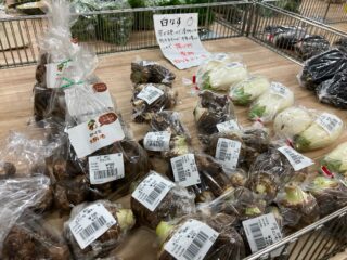 おはようございます☀️

今朝も採れたて新鮮野菜が出荷されました☺️🍆🥒

かき、みかん、柑橘類、なす、かぼちゃ、ピーマン、甘長とうがらし、さつまいも、つるむらさき、生花などが出荷されました✨

ご来店をお待ちしております🙇‍♀️

なお出荷量には限りがあり、売り切れる場合がございます。ご了承ください。
#産直#なごやさい#JA天白信用#さといも #さつまいも