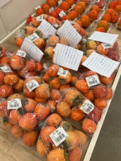 おはようございます☀️

今朝も採れたて新鮮野菜が出荷されました☺️🍆🥒

渋柿、かき、みかん、柑橘類、なす、かぼちゃ、ピーマン、甘長とうがらし、さつまいも、生花などが出荷されました✨

ご来店をお待ちしております🙇‍♀️

なお出荷量には限りがあり、売り切れる場合がございます。ご了承ください。
#産直#なごやさい#JA天白信用#ナス #さつまいも